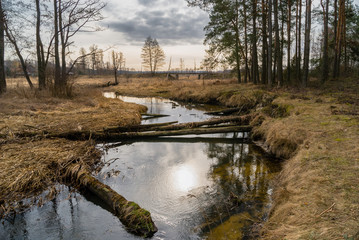 Dolina Górnej Narwi. Wiosna nad Narwią. Natura 2000 © podlaski49