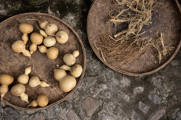 Dried vegetables and roots