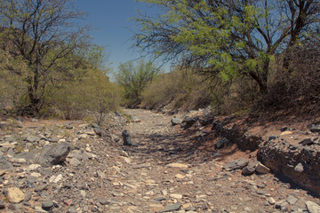 Pie de Palo Lecho de Río San Juan