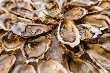 fresh opened oysters on plate arranged circularly