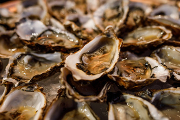 fresh opened oysters on plate arranged circularly