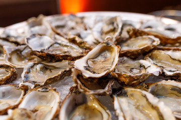 fresh opened oysters on plate arranged circularly