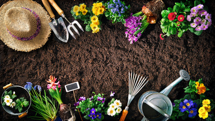 Gardening tools and flowers on soil - obrazy, fototapety, plakaty