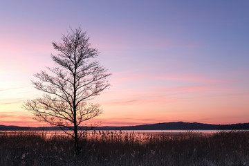 Obraz premium Kleiner Jasmunder Bodden - Rügen