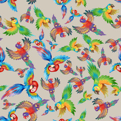 Obraz premium Funny colorful parrots, excellent for children. Seamless background pattern #3