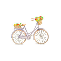 Fototapeta na wymiar watercolor bike with flowers
