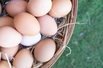 Many fresh eggs are ready for cooking.
