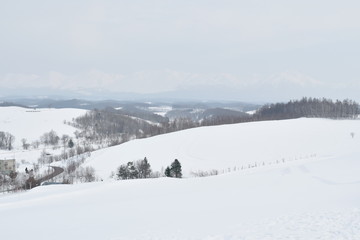 landscape of snow field on mountain in Hokkaido Japan
