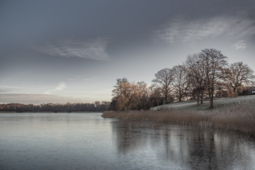 Naklejka na ściany i meble Trees reflecting in frozen lake during winter time