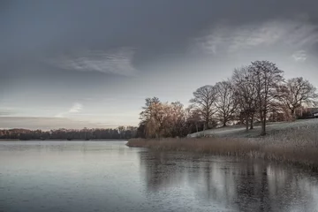 Foto auf Leinwand Trees reflecting in frozen lake during winter time © frederik