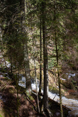 Fototapeta premium Rauschendes Wasser