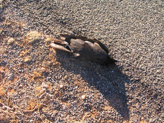  The Australian Outback. Remote territory