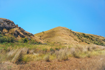 The Central Asian landscape is steppe with small hills overgrown with grass.