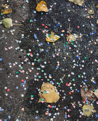 Fototapeta premium Stadt Berlin bei Herbst