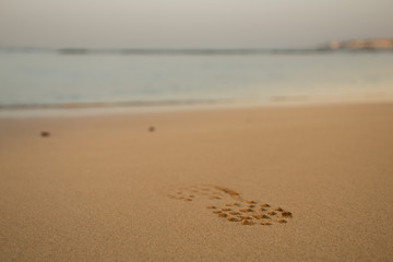 Footprint