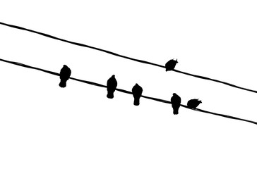 birds on a wire