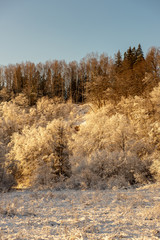 frozen winter landscape with forests and fields covered in snow