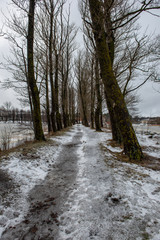 frozen bodies of water in deep winter under snow