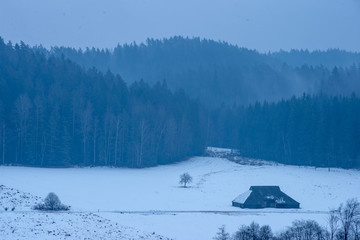 frozen winter landscape with forests and fields covered in snow