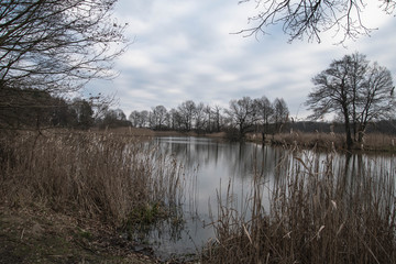 Obraz premium Leśna Woda Bystrzyca Oławska Dolnośląskie Polska Europa