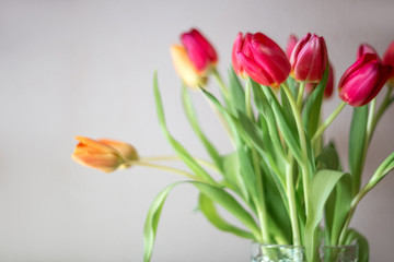 Bouquet of colorful tulips in the glass vase