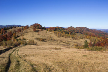Fototapeta na wymiar Autumn in Carpatians mountains Ukraine Lypovitca
