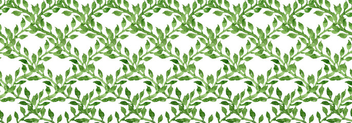 Beautiful Green Flourish Pattern Banner Growing Vines Border Watercolor illustration