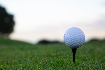 Bolas de golf puestas en encima de un tee con fondo verde y blanco