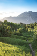 pathway in the mountains