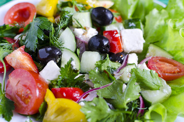 Vegetable salad cucumbers peppers cheese olives on a white plate close-up