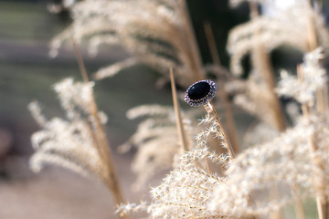 Ring with nature background for woman