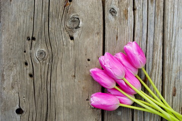 Pink tulips on wooden vintage background. Mother's Day  design concept.