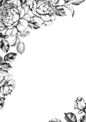 Elegant Background with Rose Flowers - 254027969
