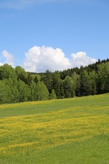 Spring Landscape Photos.savsat/artvin/turkey