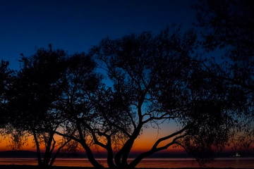 Incredible, bright sunset over the water against the background of which the silhouette of a large tree. Minsk Sea, Belarus