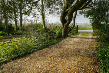 A gravel driveway leading to a country house in summer time in England