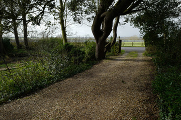 A gravel driveway leading to a country house in summer time in England