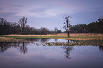 Backwaters in Chojnowski landscape park near Konstancin-Jeziorna, Masovia, Poland