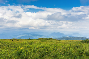 grassy alpine meadow in mountains. ridge slightly visible in the distance. cloudy sky