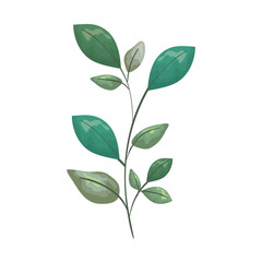 Fototapeta premium branch with leafs plant