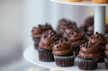 Chocolate cupcakes with chocolate frosting