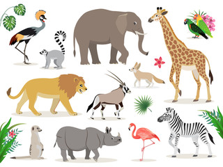 Set of cute African animals icons isolated on white background, crowned crane, lemur, elephant, giraffe, lion, antelope, zebra, suricate, rhinoceros, flamingo, lovebirds, fennec, vector