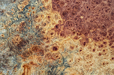 Real burl wood striped for Picture prints interior decoration car, Exotic wooden beautiful pattern for crafts or abstract art background texture