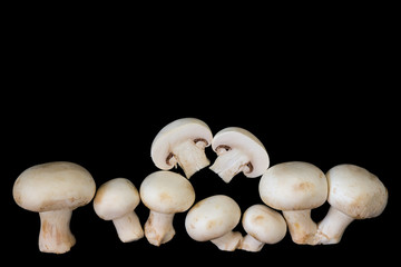 Fresh white mushrooms champignon isolated on a black background.Top view