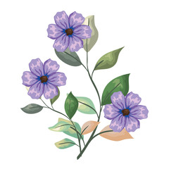 beautiful flowers decorative icon