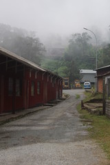 Obraz premium train at the station