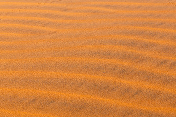 Dune waves in Sahara Desert, Wave of sand texture