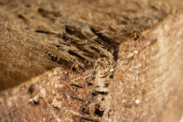 The texture of the old sawed tree trunk.
