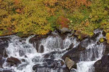 Herbst am Wasserfall Hraunafossar, Island