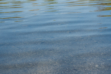 Ruhige blaue Wasseroberfläche